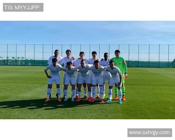 西安排球队区域防守革新探讨与战术解析全景呈现