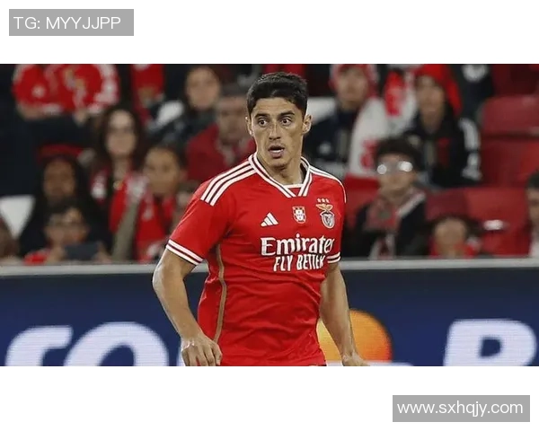 德甲精彩对决里昂逆转本菲卡5-1全场沸腾战术解析